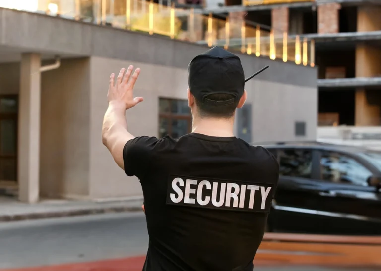 Private Security Service